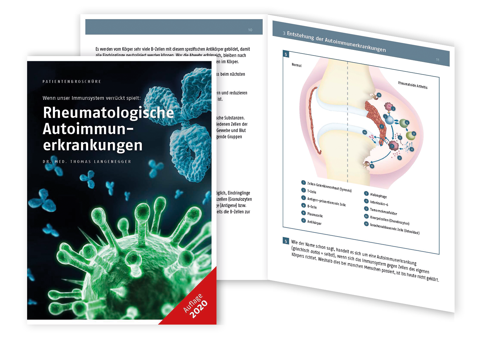 Rheumabroschure D